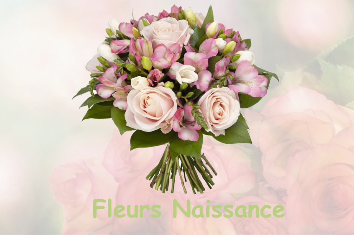 fleurs naissance MONCEAU-LE-NEUF-ET-FAUCOUZY